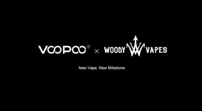 VOOPOO电子烟拆资200万 收购新域名voopoo.com-电子烟网|悦客|悦刻RELX|柚子yooz|小野|绿萝|非我JVE|福禄flow|魔笛MOTI|火器ammo|